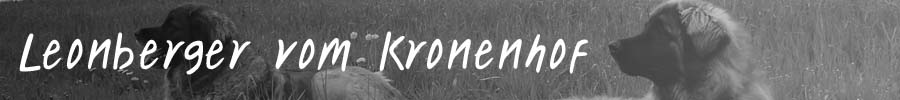 Leonberger vom Kronenhof